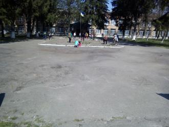 Посади дерево1