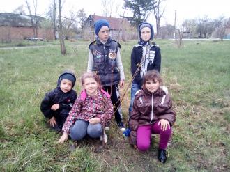 Посади дерево1