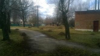 /Files/images/WP_20170320_11_03_44_Pro.jpg